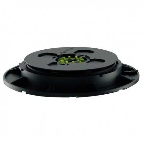 Reguliuojamas pjedestalas terasoms 28 - 43 mm.